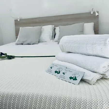 Incantevole Con Doccia Idromassaggio Apartment Livorno